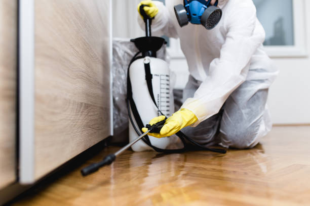 Best Ant Control Services  in Linden, CA