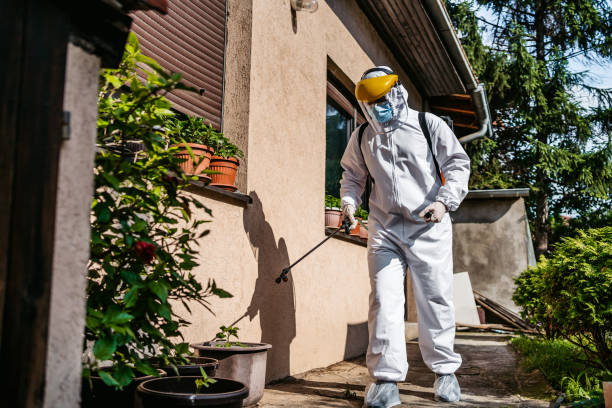 Best Spider Control Near Me  in Linden, CA