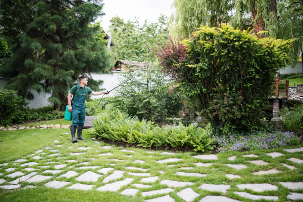 Pest Prevention Services in Linden, CA
