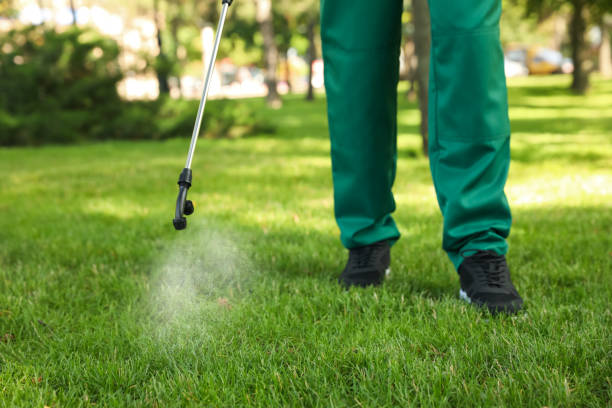 Best Emergency Pest Control  in Linden, CA