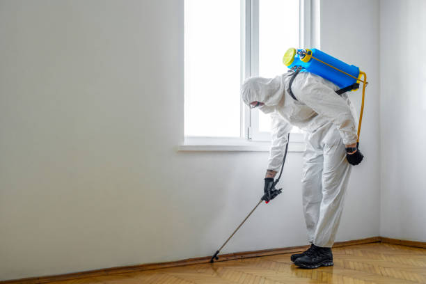 Best Residential Pest Control  in Linden, CA