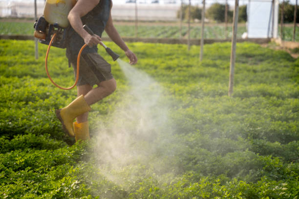 Best Affordable Pest Control Services  in Linden, CA