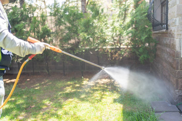 Bird Control in Linden, CA