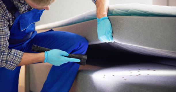 Best Emergency Pest Control  in Linden, CA