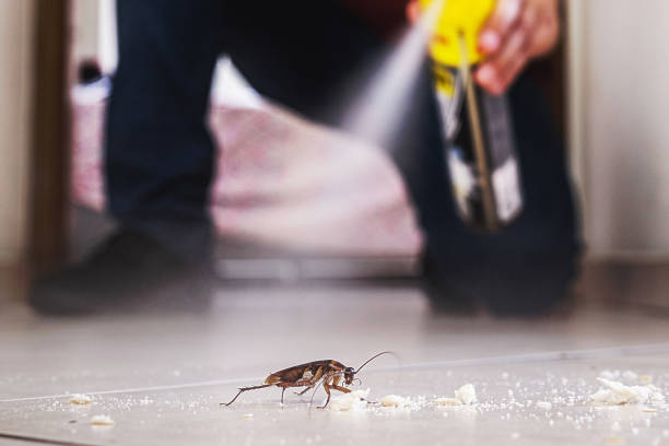 Best Pest Prevention Services  in Linden, CA