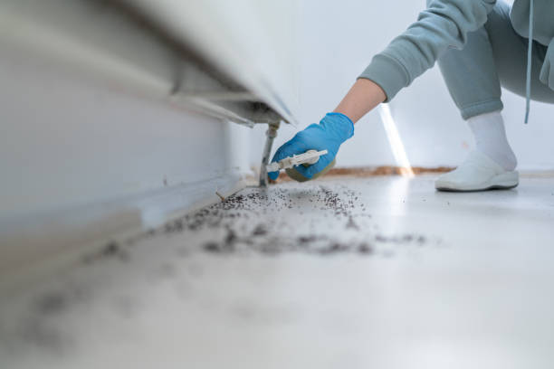 Pest Control Cost in Linden, CA