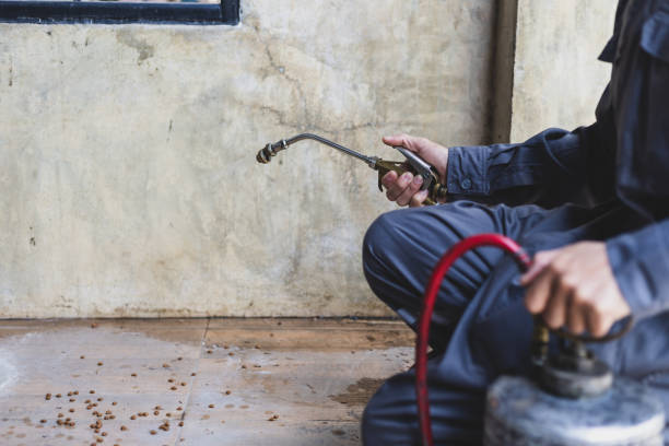 Best Mosquito Control Services  in Linden, CA